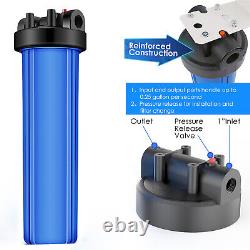 20 x 4.5 Big Blue Whole House Water Filter Housing System 4PC CTO Carbon Block