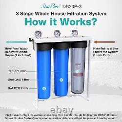 3-Stage 20 Whole House Big Blue Water Filter System Spin Down Sediment GAC CTO