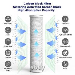 4.5x20 Whole House Well Water Filter System Iron, Sulfur, Manganese+1Year Filter