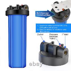 4 Pack 20 x 4.5 Big Blue Whole House Water Filter Housing with Pressure Release