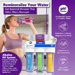 Alkaline Reverse Osmosis Water Filtration System Clear RO with Gauge 100 GPD