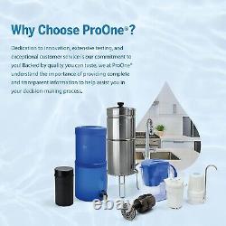 ProOne Waterdrop Gravity-fed Water Filter System, 2.25-gallon System